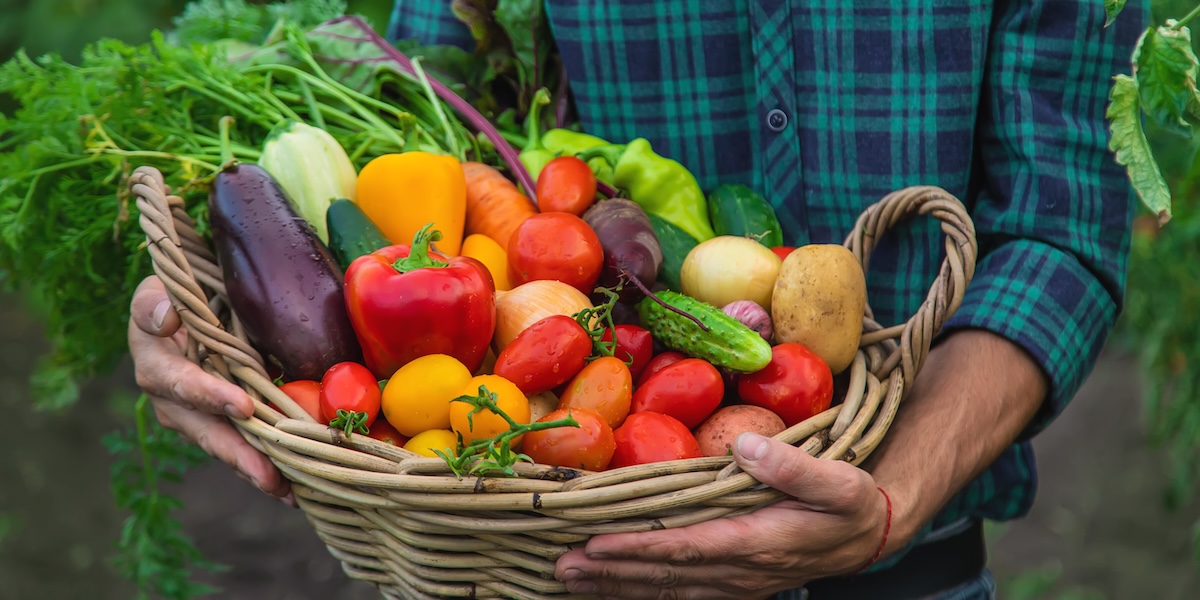 food cost ristorazione professionale