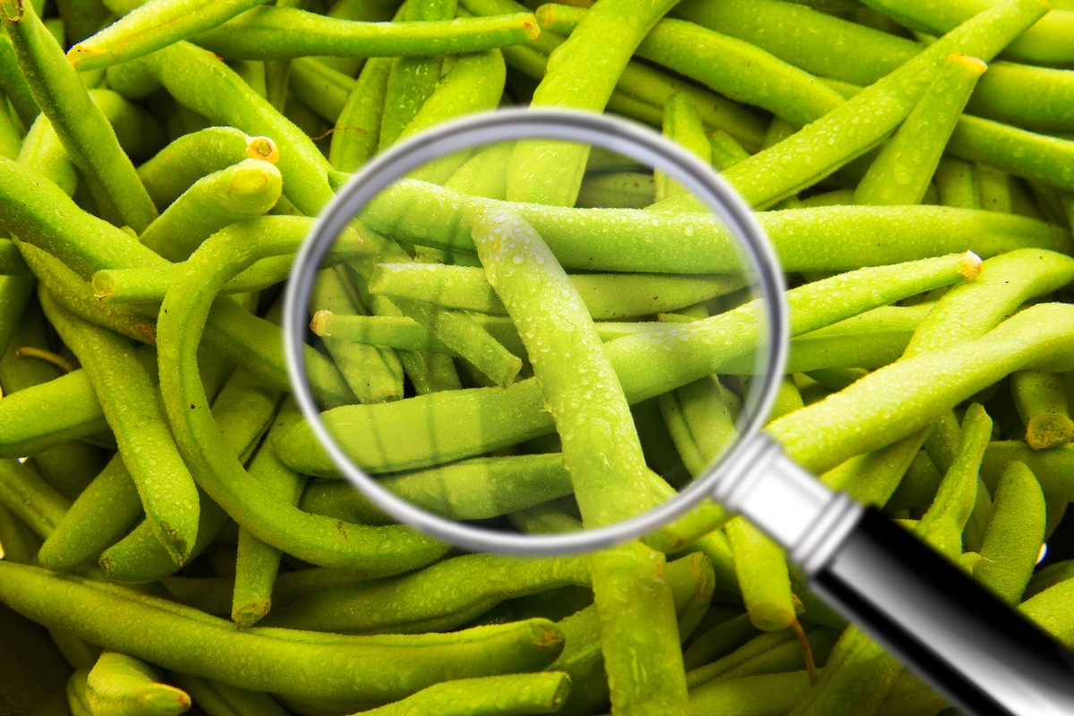 haccp ristorante
