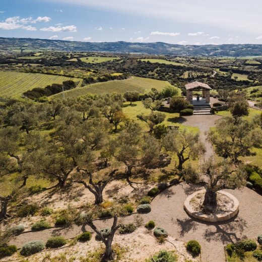 Cucina di Olianas