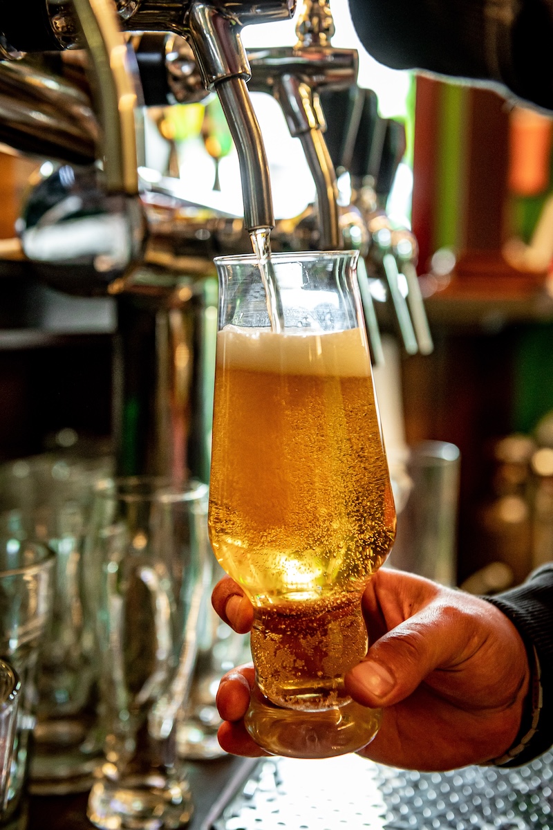 lager beer